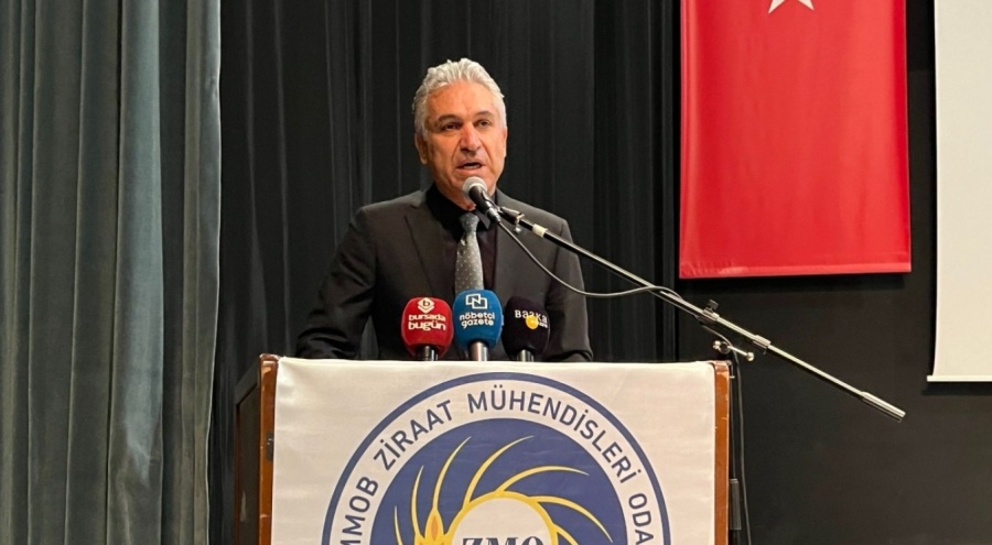 NORM HABER: BİR BİLENE SORDUK; YAPICI ELEŞTİRİMİZİ DE SUNDUK!-  17 MAYIS 2024 