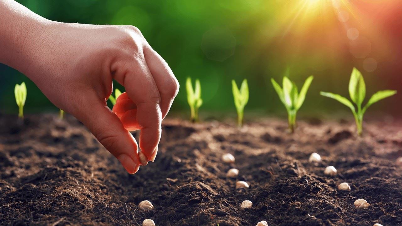 YENİ DÖNEM: ‘SON TARIMSAL SAYIM 24 YIL ÖNCEYDİ!’ 18 TEMMUZ 2025
