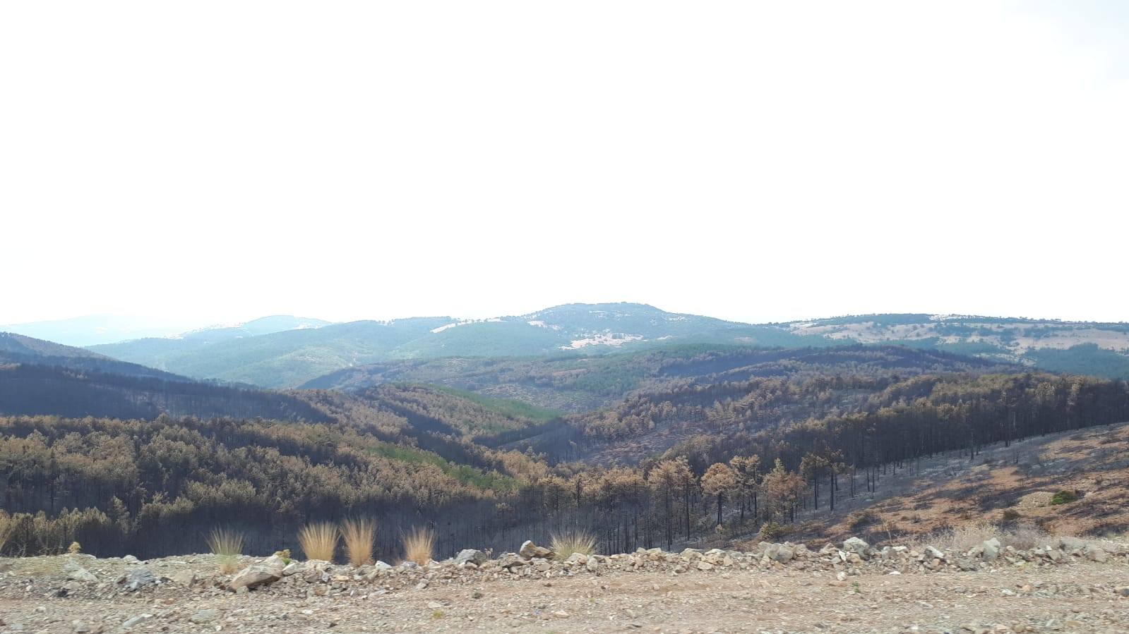 HARMANCIK BELEDİYE BAŞKANINI ZİYARET ETTİK.