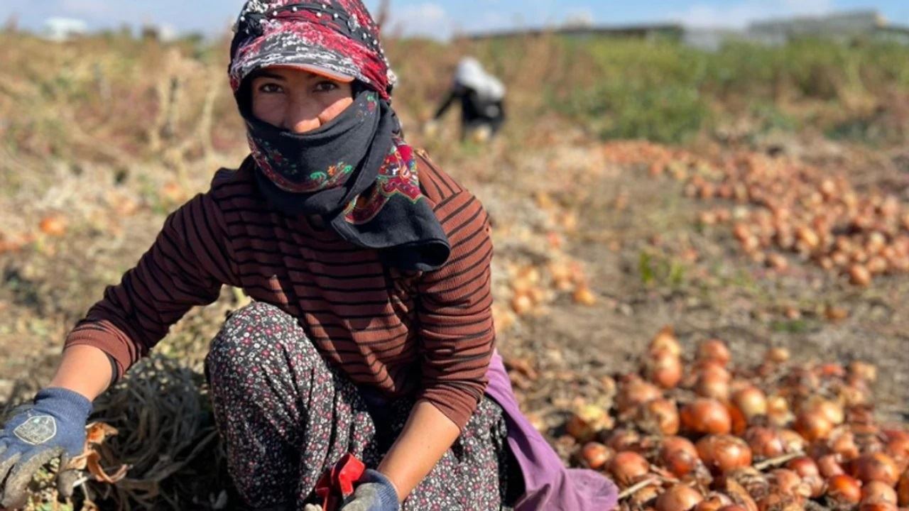 2 EYLÜL GAZETESİ: ESKİŞEHİR'DE DÜNYA ÇİFTÇİ KADINLAR GÜNÜ KONUŞULDU: “TARIMDA KADININ EMEĞİ GÖRÜLMÜYOR!”-14 EKİM 2025