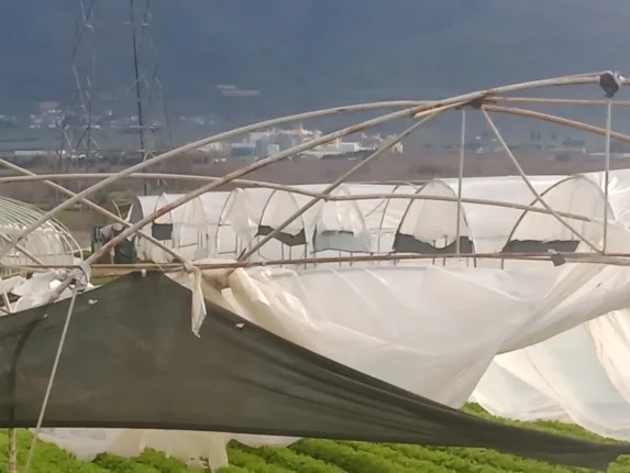 DEMOKRAT ZAFER : BURSA’YI FIRTINA VURDU: TARIM ALANLARINDA BÜYÜK YIKIM, ZARAR MİLYONLARI BULUYOR 10.01.2026