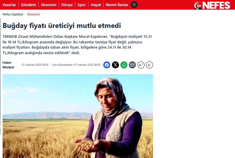 NEFES GAZETESİ: BUĞDAY FİYATI ÜRETİCİYİ MUTLU ETMEDİ- 7 HAZİRAN 2026