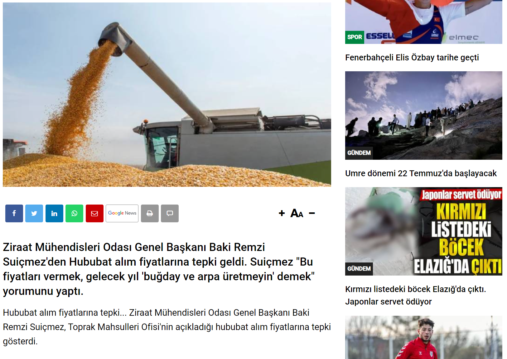 YENİÇAĞ GAZETESİ: ZİRAAT MÜHENDİSLERİ ODASI'NDAN BUĞDAY FİYATINA TEPKİ- 7 HAZİRAN 2024