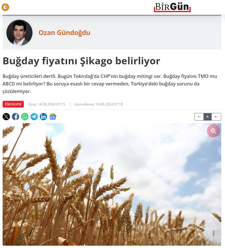 BİRGÜN GAZETESİ: BUĞDAY FİYATINI ŞİKAGO BELİRLİYOR- 14 HAZİRAN 2024