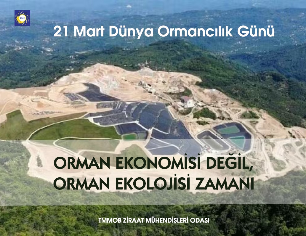 21 MART “DÜNYA ORMANCILIK GÜNÜ”NDE UYARIYORIZ!..  DOĞAMIZI VE GELECEĞİMİZİ KİŞİSEL ÇIKAR HIRSI İLE YOK ETMEYELİM.  ORMANLARIMIZI KAMUCU POLİTİKALARLA KOŞULSUZ KORUYALIM.