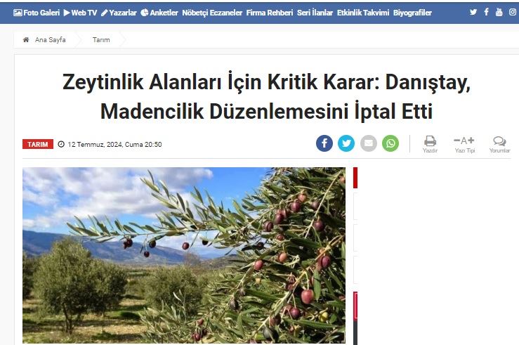 TARIM PUSULASI: ZEYTİNLİK ALANLARI İÇİN KRİTİK KARAR: DANIŞTAY, MADENCİLİK DÜZENLEMESİNİ İPTAL ETTİ- 12 TEMMUZ 2024