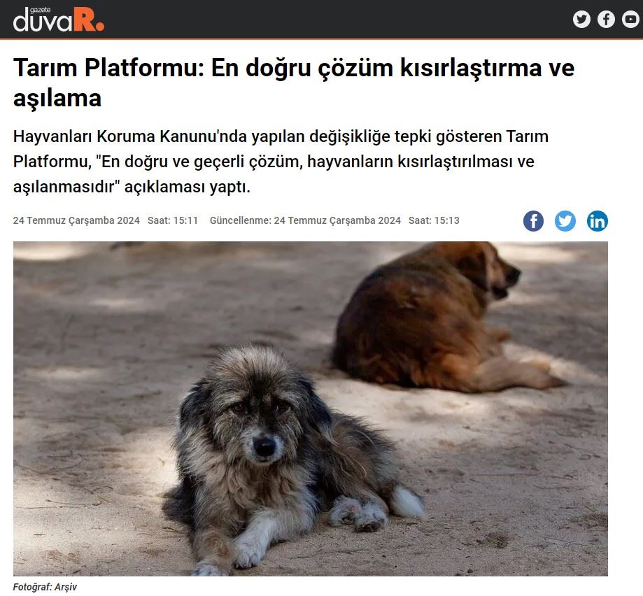 GAZETE DUVAR: TARIM PLATFORMU: EN DOĞRU ÇÖZÜM KISIRLAŞTIRMA VE AŞILAMA- 24 TEMMUZ 2024