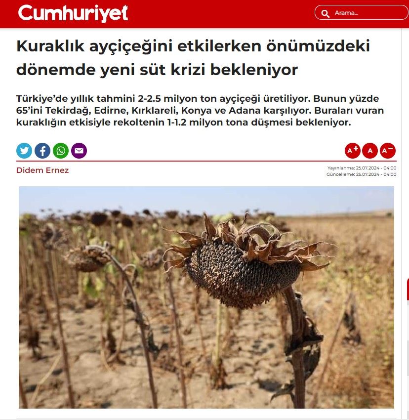 CUMHURİYET GAZETESİ: KURAKLIK AYÇİÇEĞİNİ ETKİLERKEN ÖNÜMÜZDEKİ DÖNEMDE YENİ SÜT KRİZİ BEKLENİYOR- 25 TEMMUZ 2024