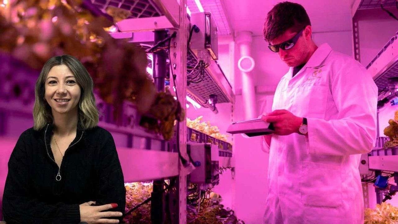 2 EYLÜL GAZETESİ: ESKİŞEHİR’DE ZİRAAT MÜHENDİSLERİ’NDEN UYARI: TARIMDA BÜYÜK TEHLİKE!-20 MART 2025