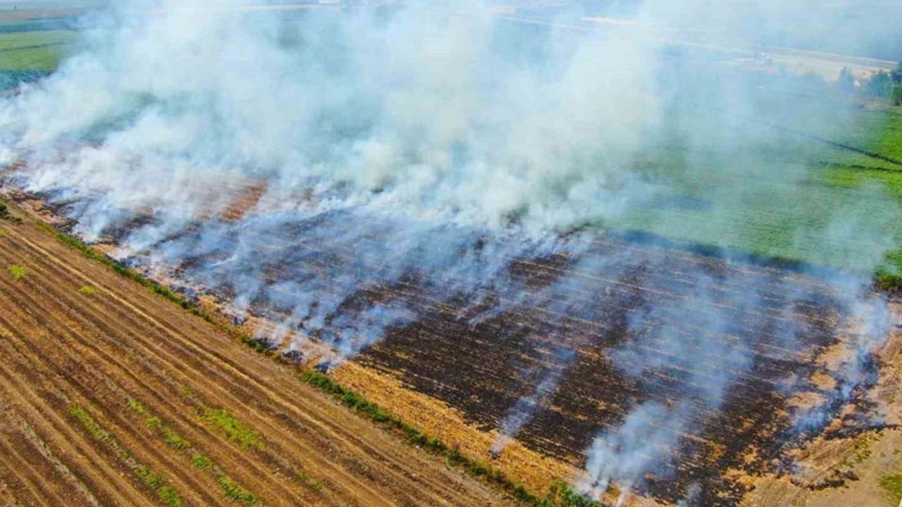 GZT 26: ESKİŞEHİR'DE BU KONUDA DENETİM YOK DENİLECEK KADAR AZ; UZMAN İSİMDEN ANLAMLI ÇAĞRI-21 MART 2025