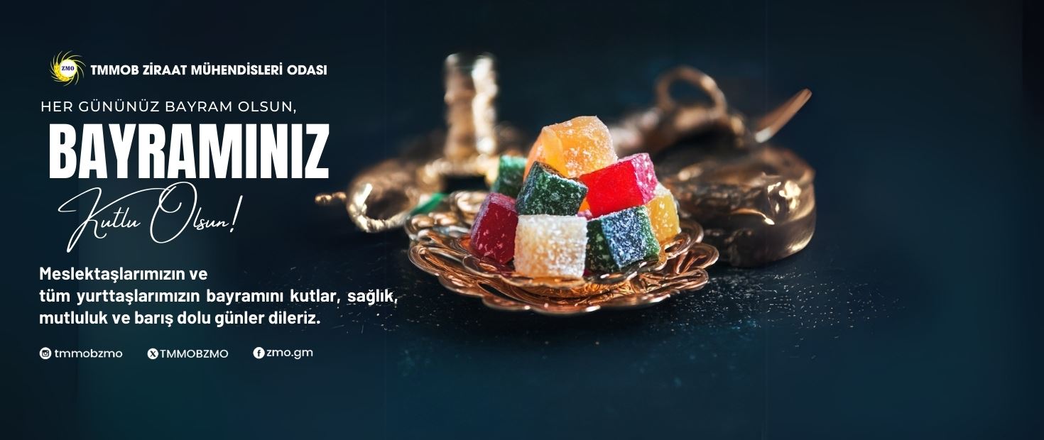 BAYRAMINIZ KUTLU OLSUN