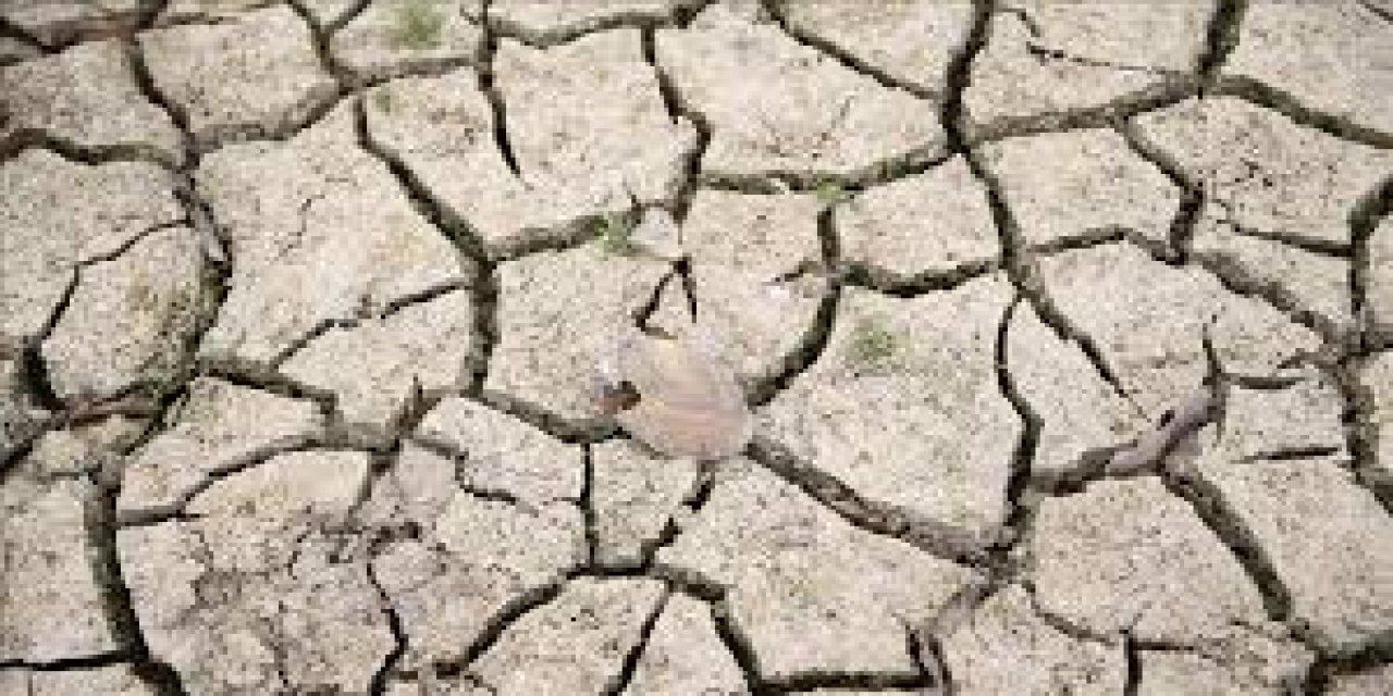 İSTİKBAL GAZETESİ: ZİRAAT MÜHENDİSLERİ ODASI'NDAN ESKİŞEHİR'DE KURAKLIK UYARISI!- 3 NİSAN 2025