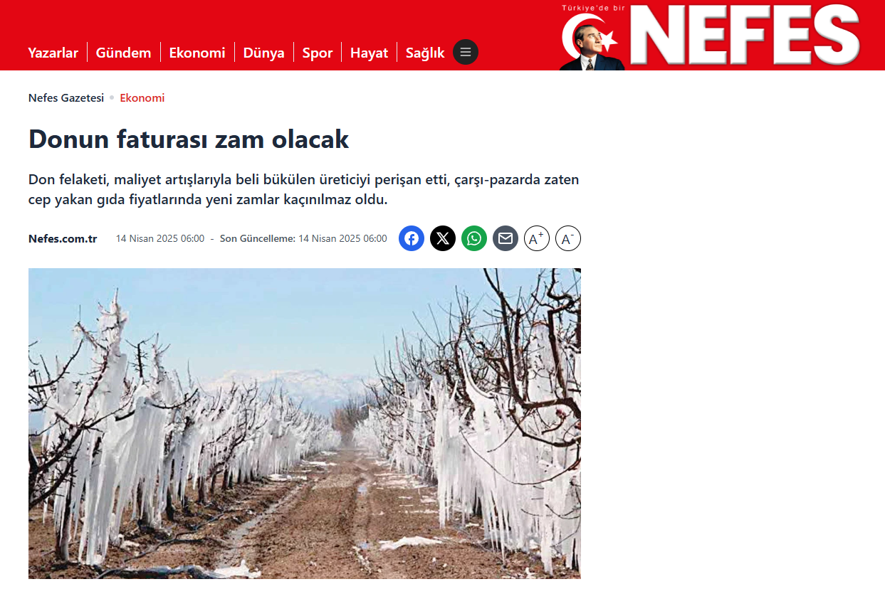 NEFES GAZETESİ: DONUN FATURASI ZAM OLACAK - 14 NİSAN 2025