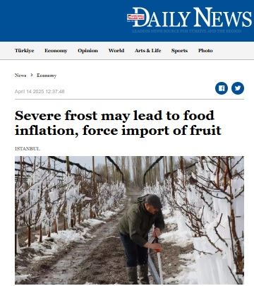 HÜRRİYET DAİLY NEWS: SEVERE FROST MAY LEAD TO FOOD İNFLATİON, FORCE İMPORT OF FRUİT- 14 NİSAN 2025