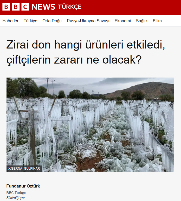 BBC NEWS TÜRKÇE: ZİRAİ DON HANGİ ÜRÜNLERİ ETKİLEDİ, ÇİFTÇİLERİN ZARARI NE OLACAK? - 16 NİSAN 2025