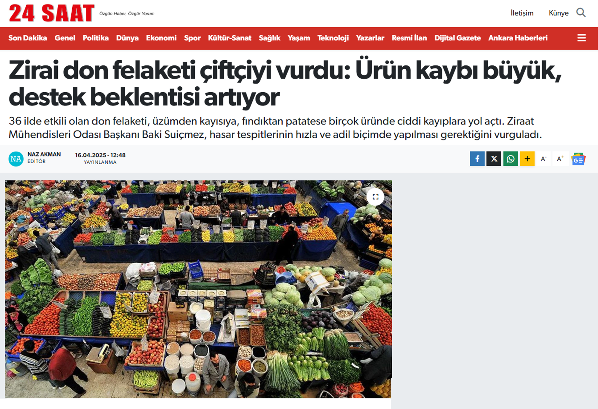 24 SAAT GAZETESİ: ZİRAİ DON FELAKETİ ÇİFTÇİYİ VURDU: ÜRÜN KAYBI BÜYÜK, DESTEK BEKLENTİSİ ARTIYOR - 16 NİSAN 2025