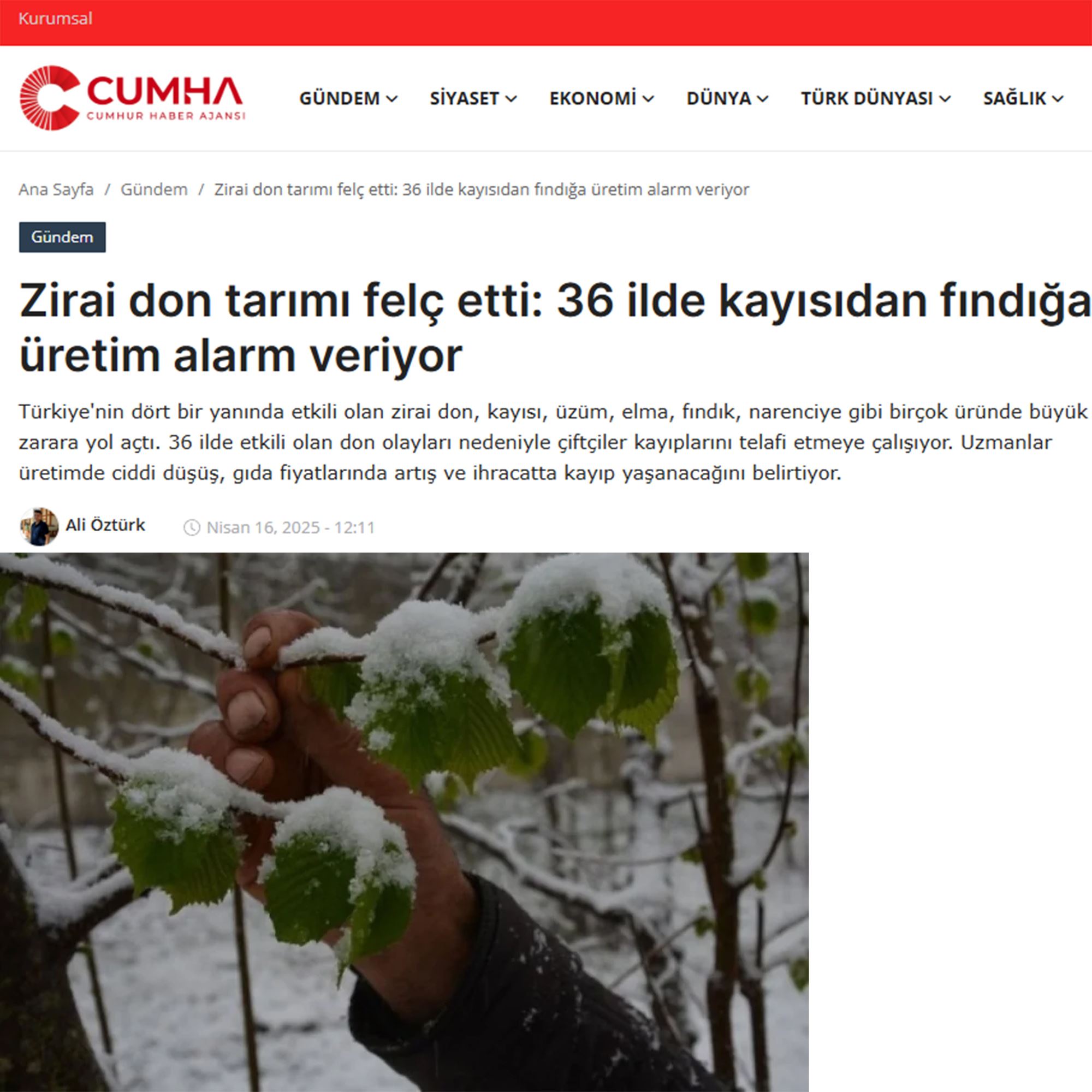 CUMHUR HABER AJANSI: ZİRAİ DON TARIMI FELÇ ETTİ: 36 İLDE KAYISIDAN FINDIĞA ÜRETİM ALARM VERİYOR - 16 NİSAN 2025