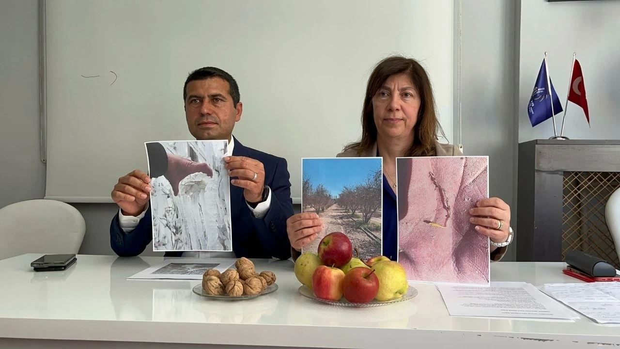 ESKİSEHİR.NET: ESKİŞEHİR’DE AFET DÜZEYİNDE ZİRAİ DON: “MEYVE AĞAÇLARININ YÜZDE 90’I DONDAN YANDI”-16 NİSAN 2025