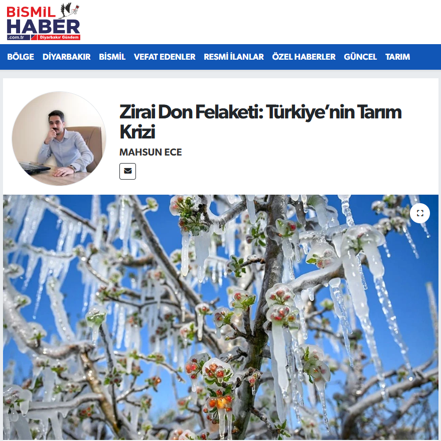 BİSMİL HABER: ZİRAİ DON FELAKETİ: TÜRKİYE’NİN TARIM KRİZİ - 18 NİSAN 2025