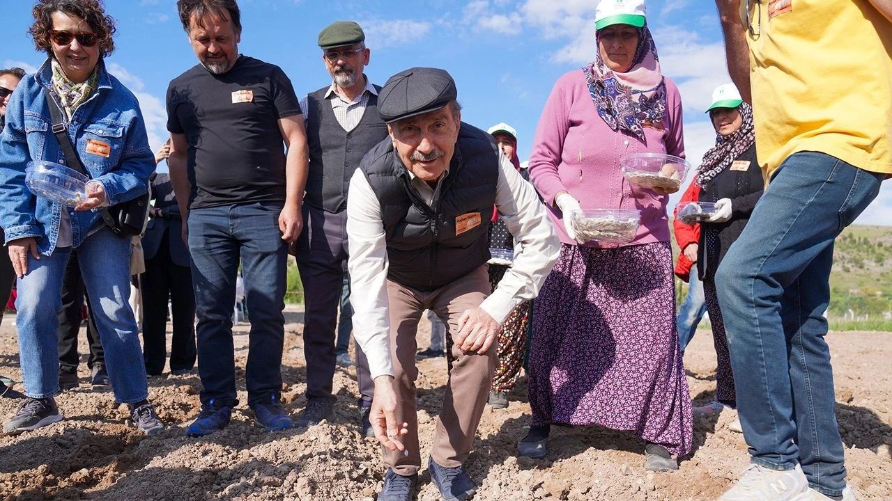 ES GAZETE: KIZILİNLER BAL KABAĞININ HİKAYESİ BAŞLIYOR-15 MAYIS 2025