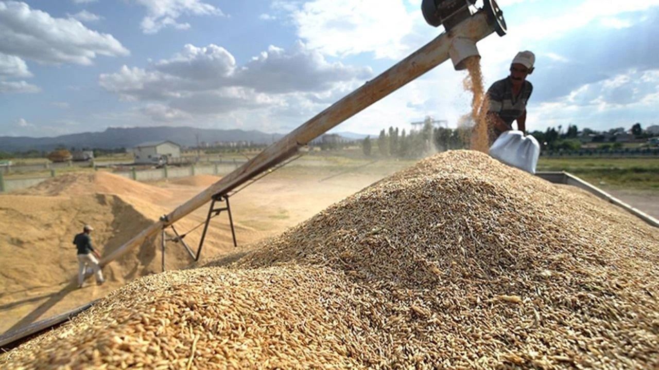 SON HABER-ESKİŞEHİR'DE İLK MAHSULE AÇIK ARTIRMA: İŞTE SATILDIĞI FİYAT-13 HAZİRAN 2025