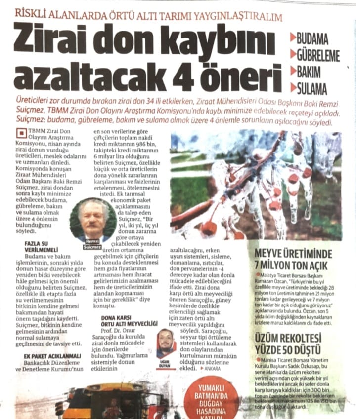 YENİ ŞAFAK GAZETESİ: ZİRAİ DON KAYBINI AZALTACAK 4 ÖNERİ - 14 HAZİRAN 2025