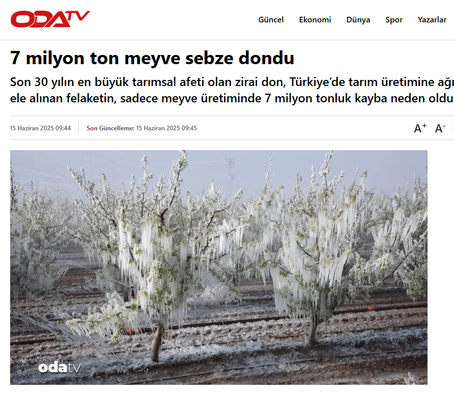 ODA TV: 7 MİLYON TON MEYVE SEBZE DONDU - 15 HAZİRAN 2025