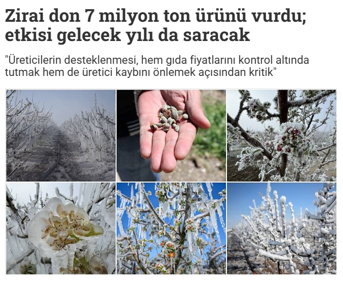 T24 GAZETESİ: ZİRAİ DON 7 MİLYON TON ÜRÜNÜ VURDU; ETKİSİ GELECEK YILI DA SARACAK - 15 HAZİRAN 2025