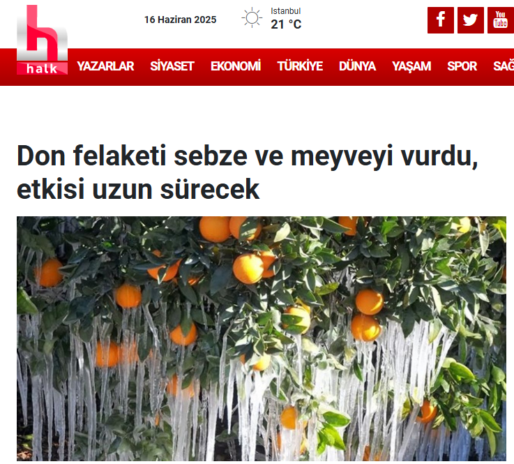 HALK TV: DON FELAKETİ SEBZE VE MEYVEYİ VURDU, ETKİSİ UZUN SÜRECEK - 16 HAZİRAN 2025