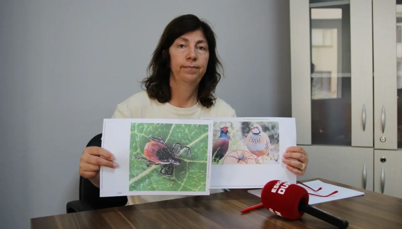 ESKİŞEHİR DURUM GAZETESİ: ZİRAAT MÜHENDİSLERİ ODASI’NDAN KENE UYARISI: ESKİŞEHİR'DE RİSK YÜKSEK! - 17 HAZİRAN 2025