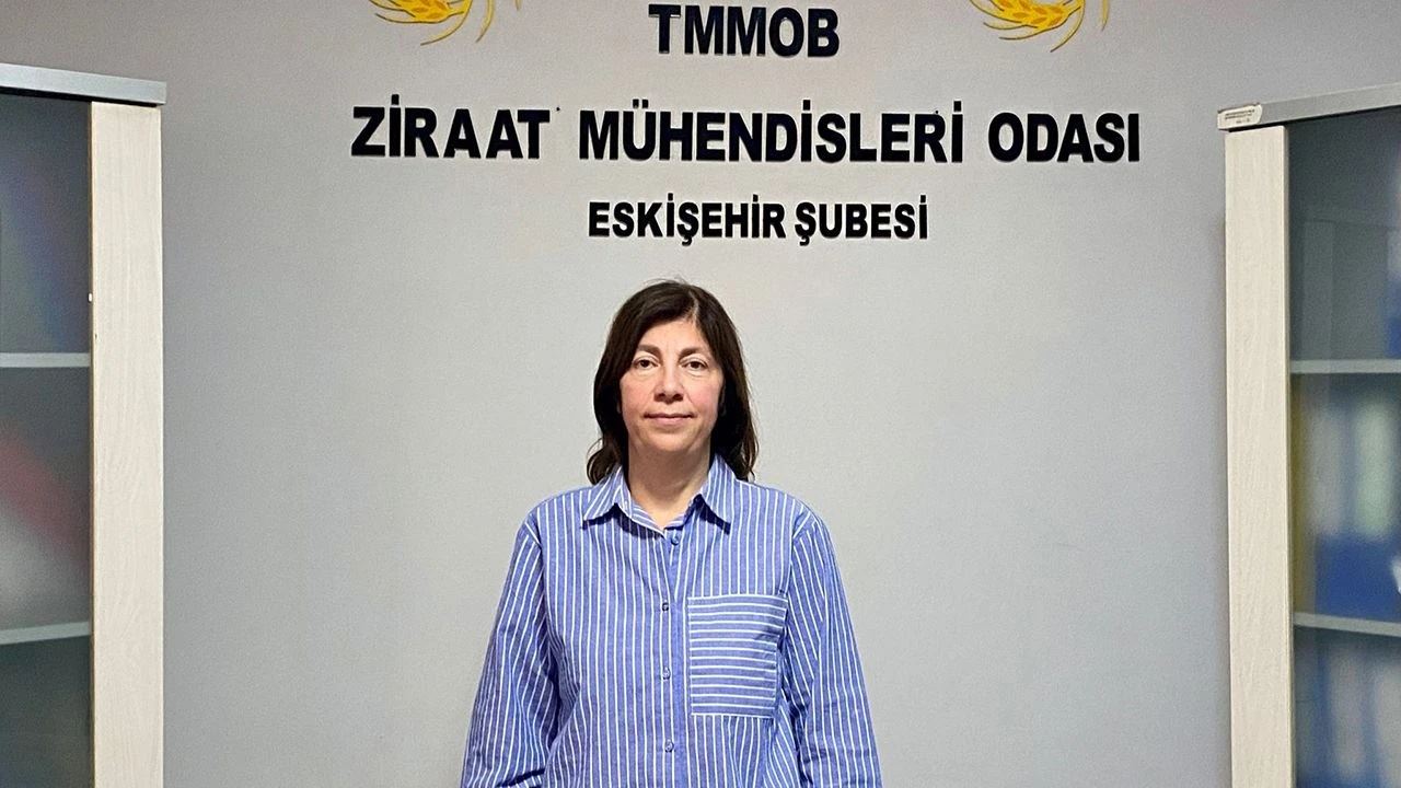 ES HABER GAZETESİ: ZEYTİN AĞACI SAKSI BİTKİSİ DEĞİLDİR - 24 HAZİRAN 2025