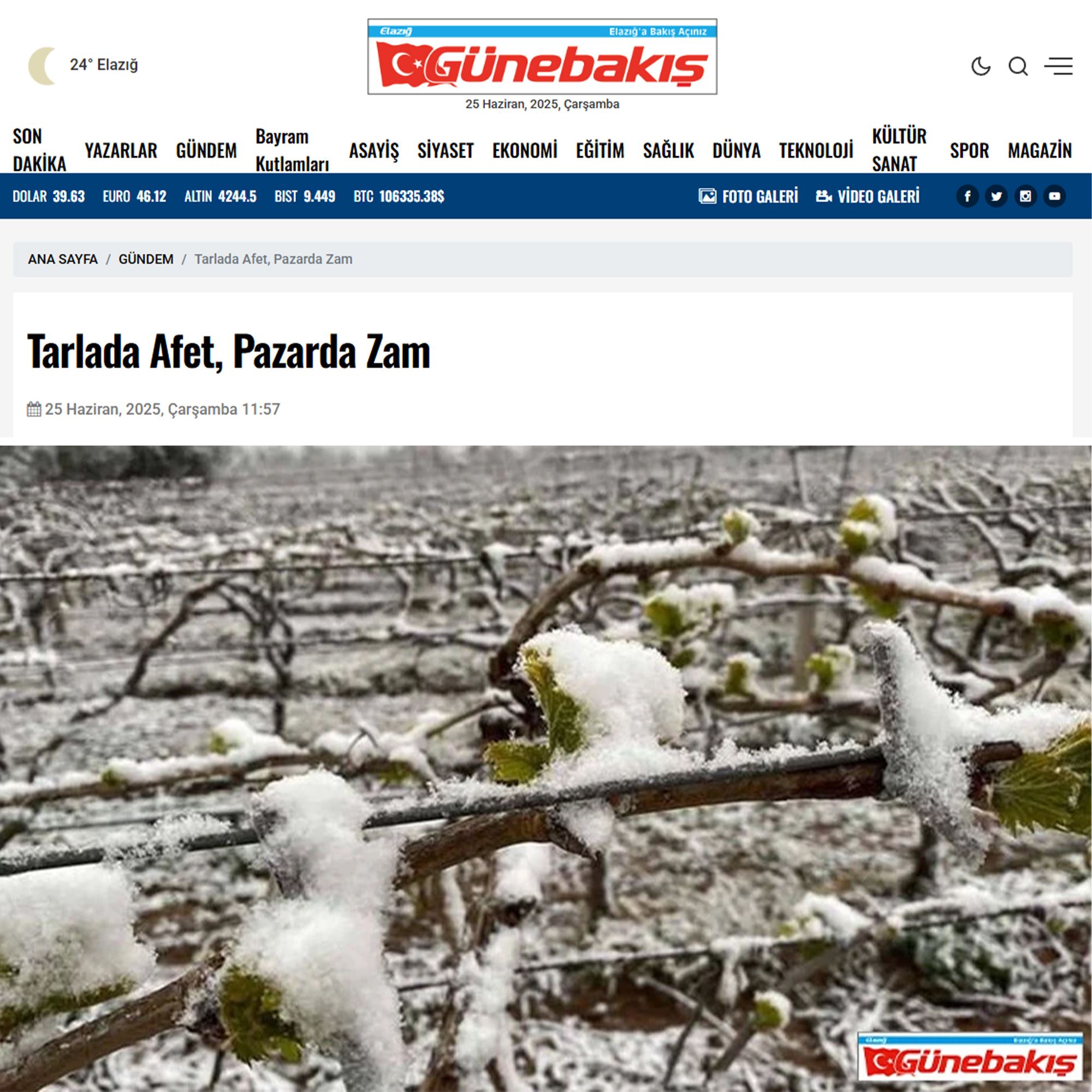 GÜNEBAKIŞ GAZETESİ: TARLADA AFET, PAZARDA ZAM  - 25 HAZİRAN 2025