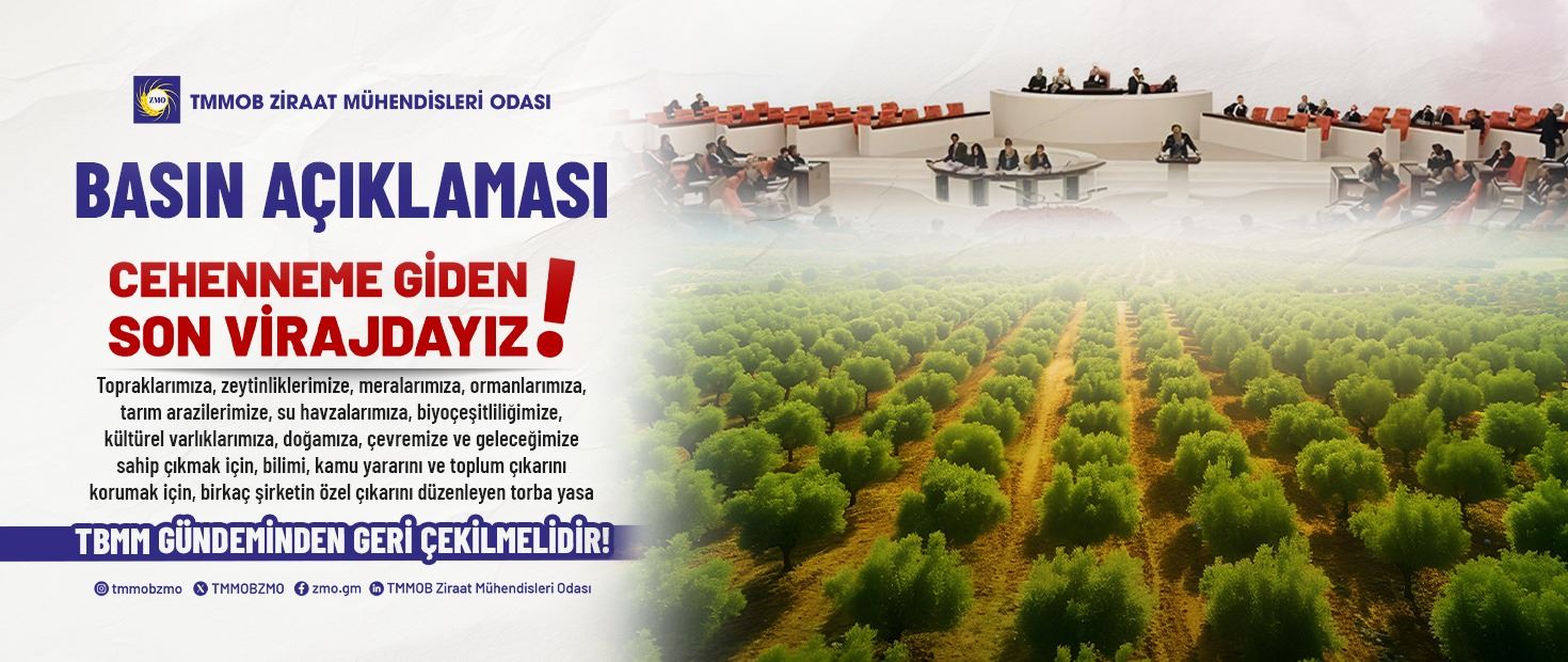 CEHENNEME GİDEN SON VİRAJDA MİLLETVEKİLLERİMİZE ÇAĞRIMIZDIR!  