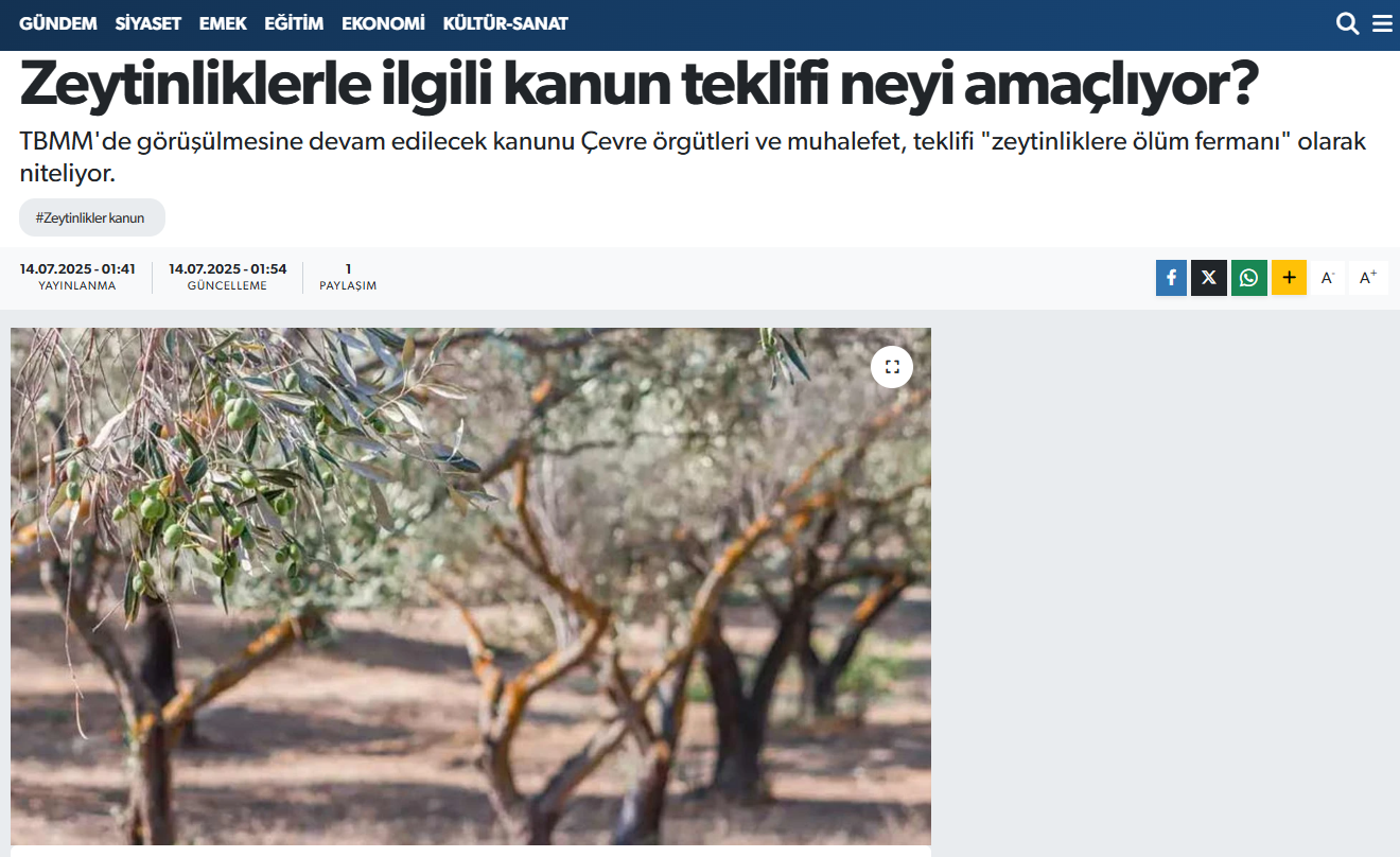 MEDYAYAZAR.COM: ZEYTİNLİKLERLE İLGİLİ KANUN TEKLİFİ NEYİ AMAÇLIYOR? - 14 TEMMUZ 2025