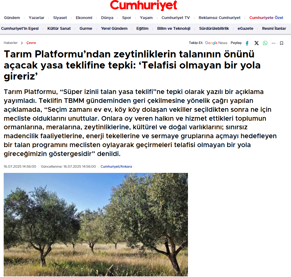 CUMHURİYET GAZETESİ: TARIM PLATFORMU’NDAN ZEYTİNLİKLERİN TALANININ ÖNÜNÜ AÇACAK YASA TEKLİFİNE TEPKİ: ‘TELAFİSİ OLMAYAN BİR YOLA GİRERİZ’ - 16 TEMMUZ 2025