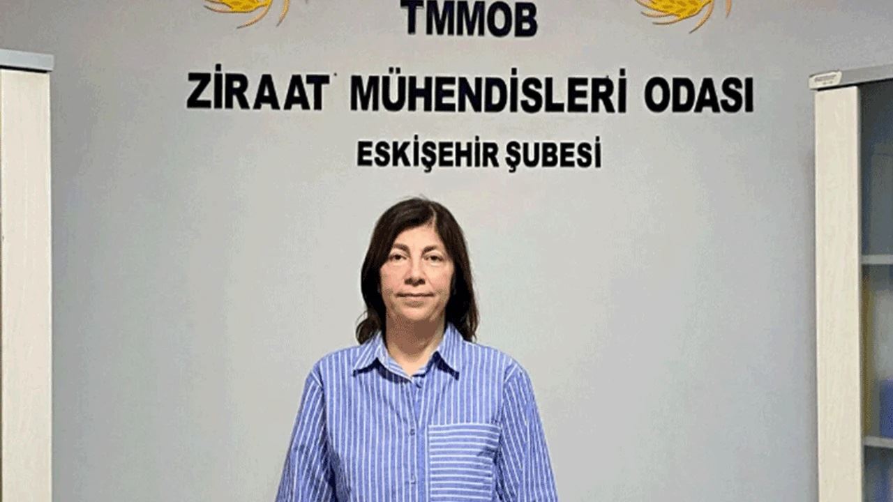 ŞEHİR GAZETESİ: GÜDER: BEŞ YIL İÇİNDE KURAKLIK RİSKİYLE KARŞI KARŞIYA KALABİLİRİZ - 18 TEMMUZ 2025
