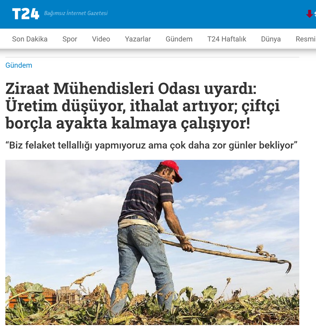T24 GAZETESİ: ZİRAAT MÜHENDİSLERİ ODASI UYARDI: ÜRETİM DÜŞÜYOR, İTHALAT ARTIYOR; ÇİFTÇİ BORÇLA AYAKTA KALMAYA ÇALIŞIYOR! - 23 TEMMUZ 2025