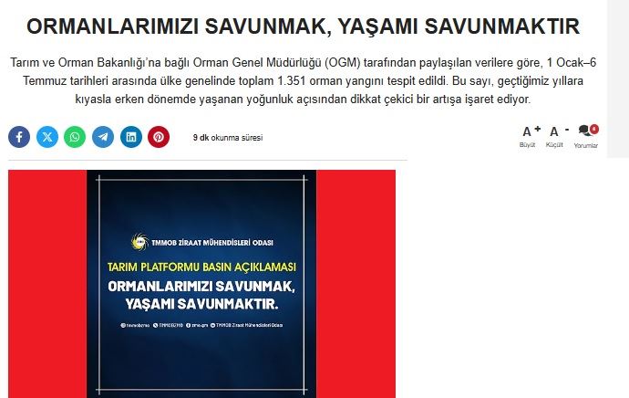 DİMEDYA: ORMANLARIMIZI SAVUNMAK, YAŞAMI SAVUNMAKTIR- 1 AĞUSTOS 2025