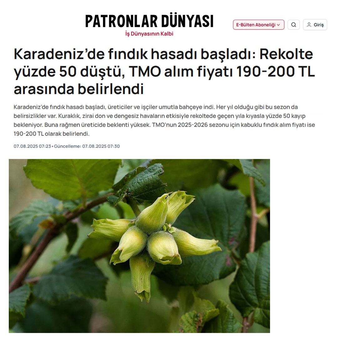 PATRONLARINDÜNYASI.COM: KARADENİZ’DE FINDIK HASADI BAŞLADI: REKOLTE YÜZDE 50 DÜŞTÜ, TMO ALIM FİYATI 190-200 TL ARASINDA BELİRLENDİ - 7 AĞUSTOS 2025