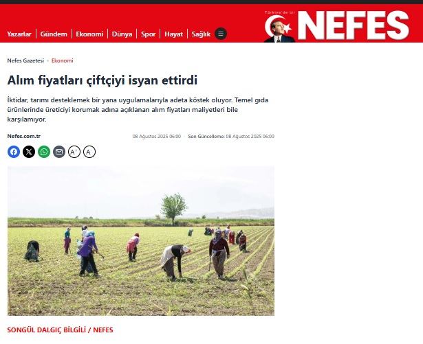 NEFES GAZETESİ: ALIM FİYATLARI ÇİFTÇİYİ İSYAN ETTİRDİ- 8 AĞUSTOS 2025
