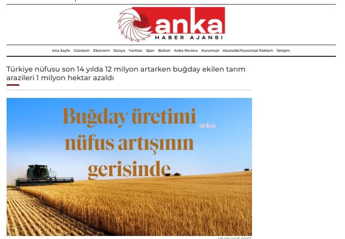 ANKA HABER AJANSI: TÜRKİYE NÜFUSU SON 14 YILDA 12 MİLYON ARTARKEN BUĞDAY EKİLEN TARIM ARAZİLERİ 1 MİLYON HEKTAR AZALDI- 8 AĞUSTOS 2025