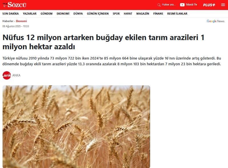 SÖZCÜ GAZETESİ: NÜFUS 12 MİLYON ARTARKEN BUĞDAY EKİLEN TARIM ARAZİLERİ 1 MİLYON HEKTAR AZALDI- 8 AĞUSTOS 2025