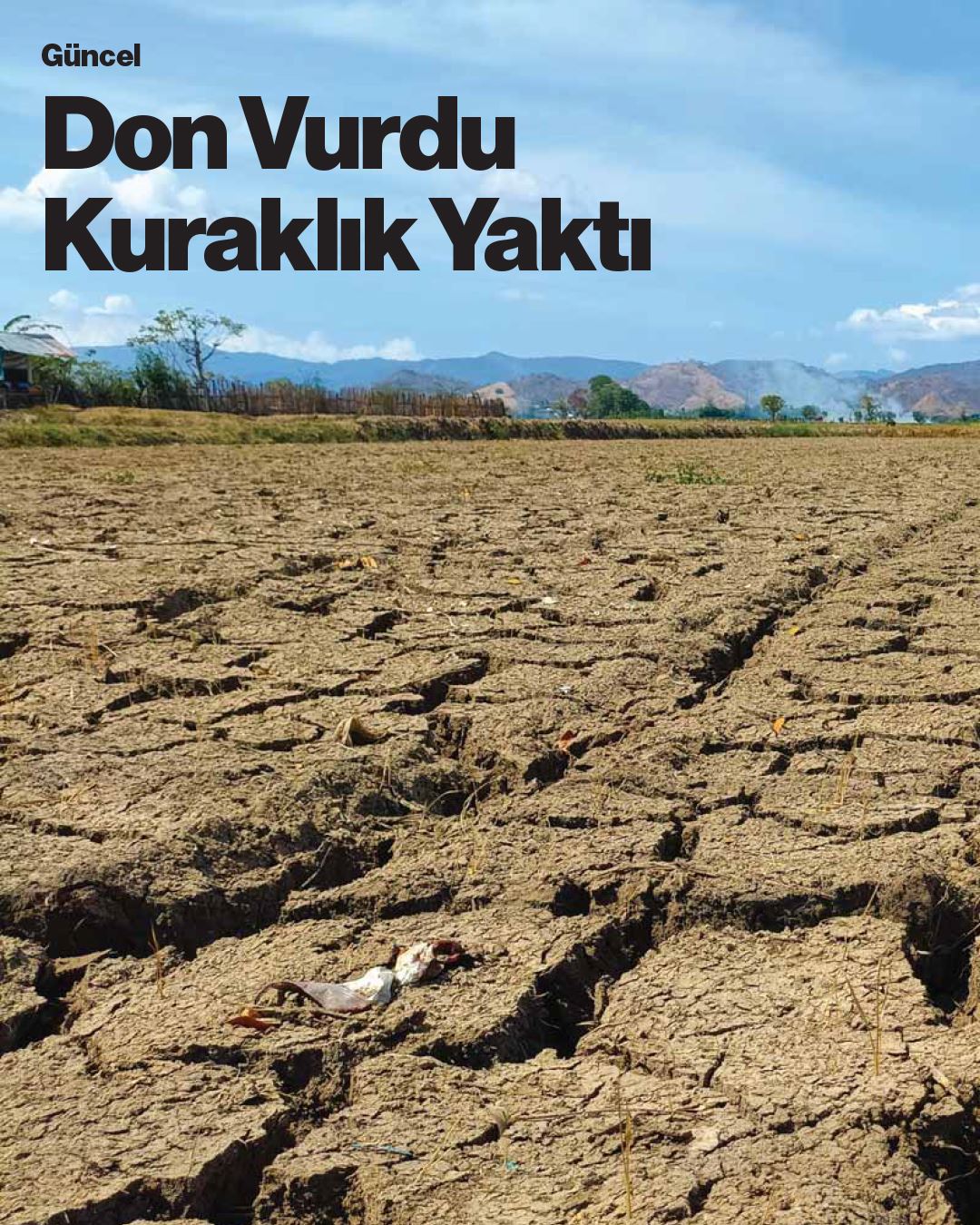 BLOOMBERG BUSİNESSWEEK: DON VURDU KURAKLIK YAKTI - 22 AĞUSTOS 2025
