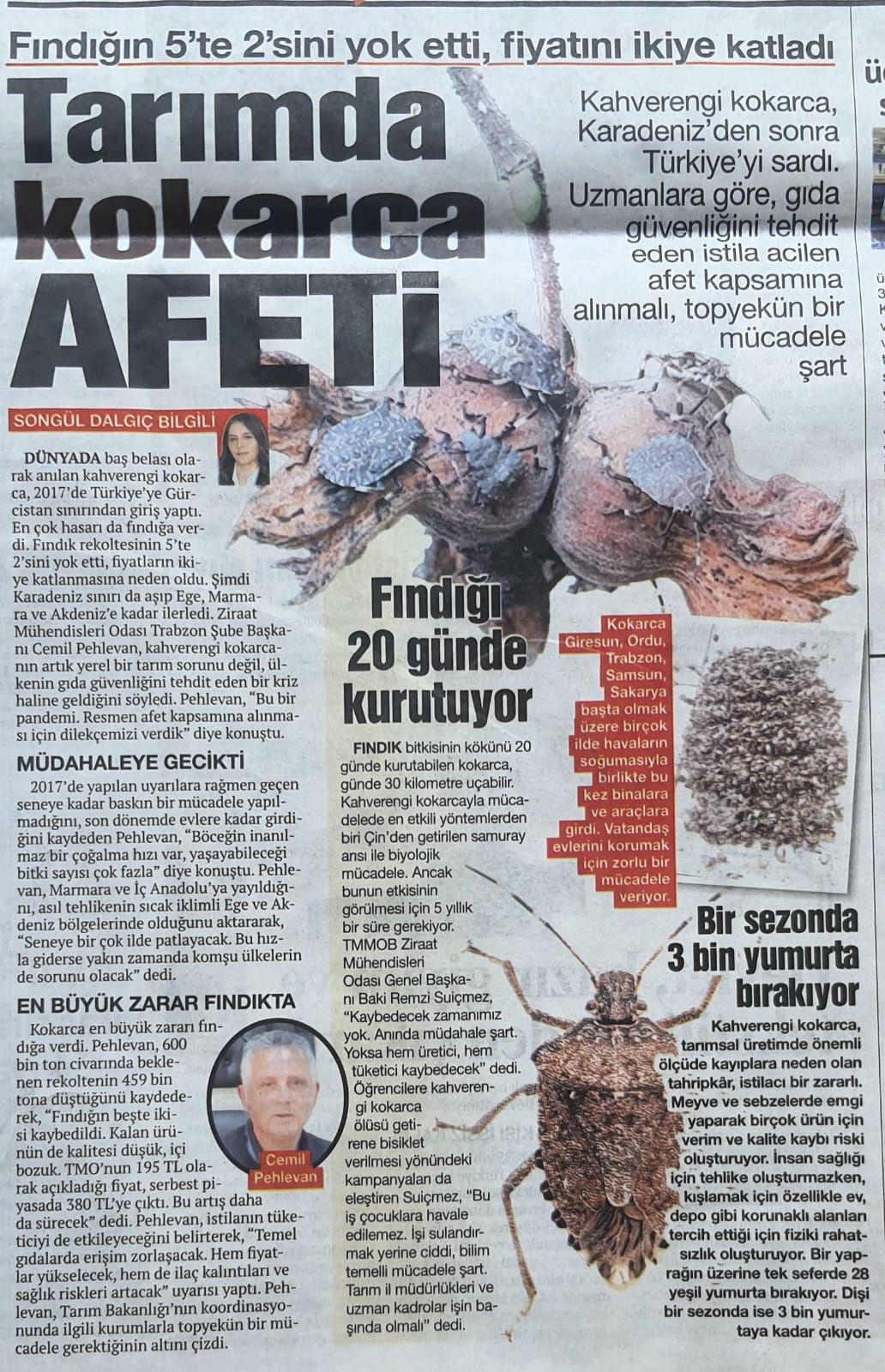 NEFES GAZETESİ: TARIMDA KOKARCA AFETİ - 16 EKİM 2025