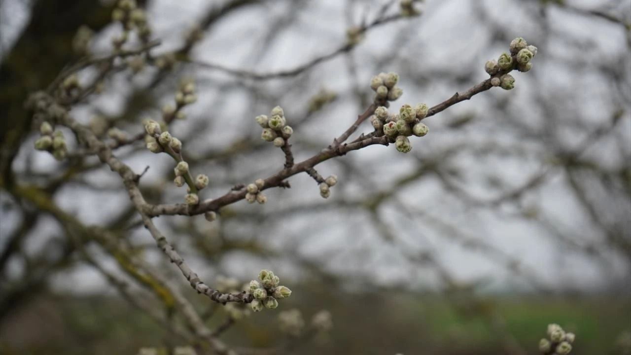 2 EYLÜL: ASIL GÖZLERİ KAYBETTİK: ESKİŞEHİR'DE KURAKLIK ALARM VERİYOR!-5 KASIM 2025