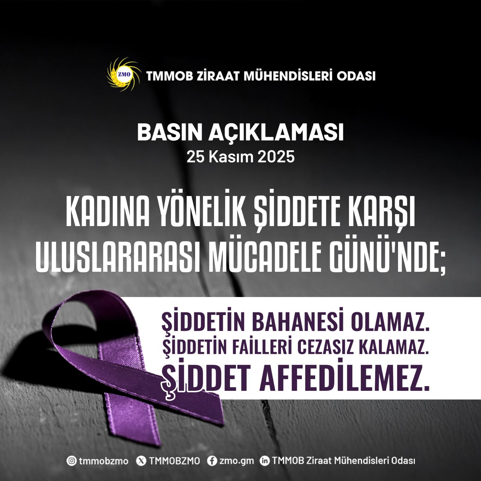 KADINA YÖNELİK ŞİDDETE KARŞI ULUSLARARASI MÜCADELE GÜNÜ'NDE;  ŞİDDETİN BAHANESİ OLAMAZ.  ŞİDDETİN FAİLLERİ CEZASIZ KALAMAZ.  ŞİDDET AFFEDİLEMEZ.   