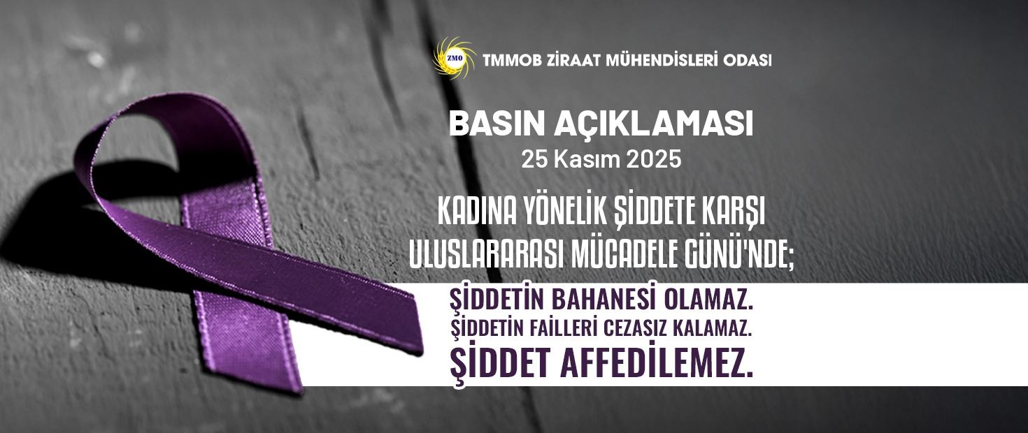 KADINA YÖNELİK ŞİDDETE KARŞI ULUSLARARASI MÜCADELE GÜNÜ'NDE;  ŞİDDETİN BAHANESİ OLAMAZ.  ŞİDDETİN FAİLLERİ CEZASIZ KALAMAZ.  ŞİDDET AFFEDİLEMEZ.