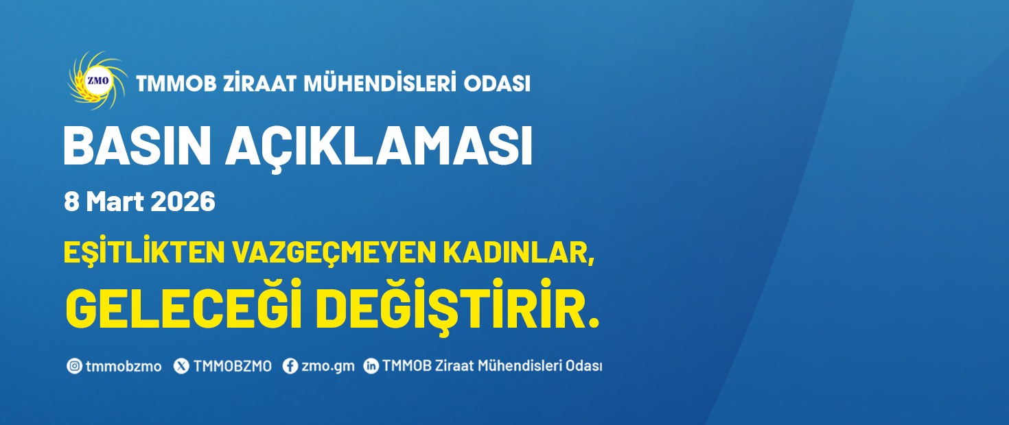 EŞİTLİKTEN VAZGEÇMEYEN KADINLAR, GELECEĞİ DEĞİŞTİRİR.