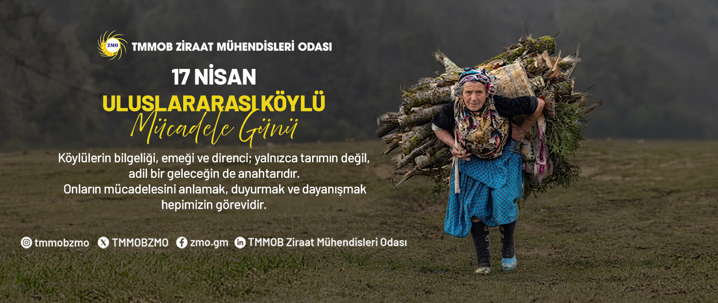 17 NİSAN ULUSLARARASI KÖYLÜ/ÇİFTÇİ MÜCADELELERİ GÜNÜ