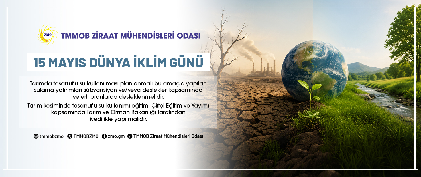 15 MAYIS DÜNYA İKLİM GÜNÜ